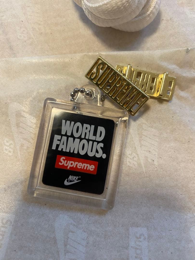 スケートボード Supreme NIKE SB Rammellzee Dunk low 27