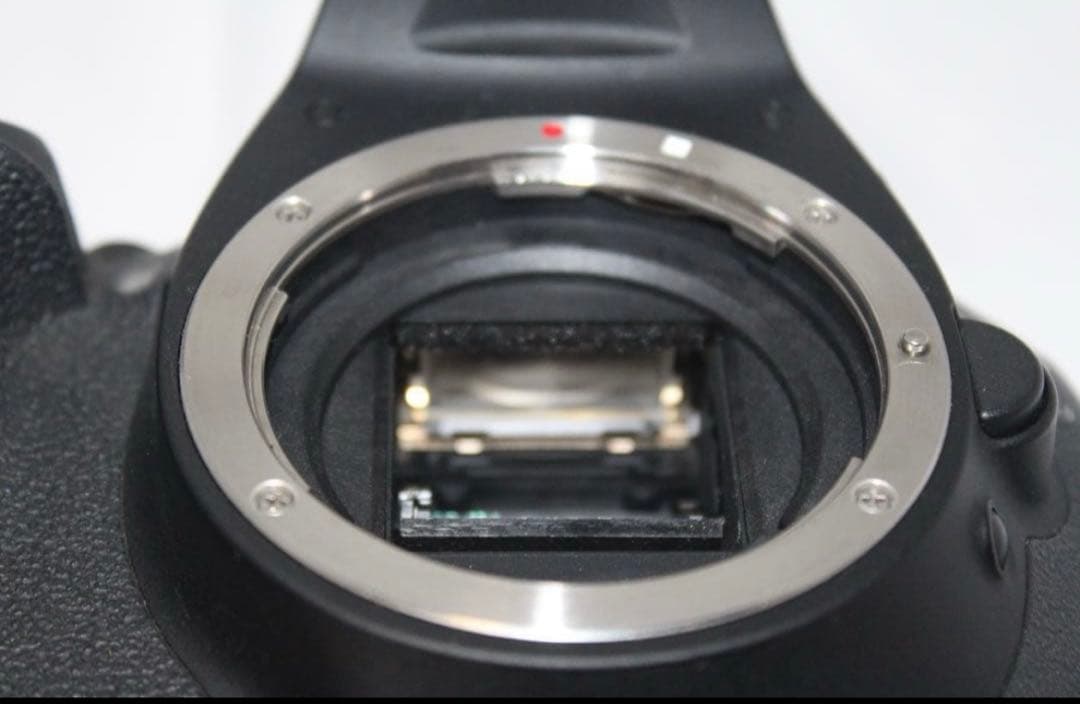 Canon EOS Kiss X5★S数少★手ぶれ補正レンズ★スマホ転送可