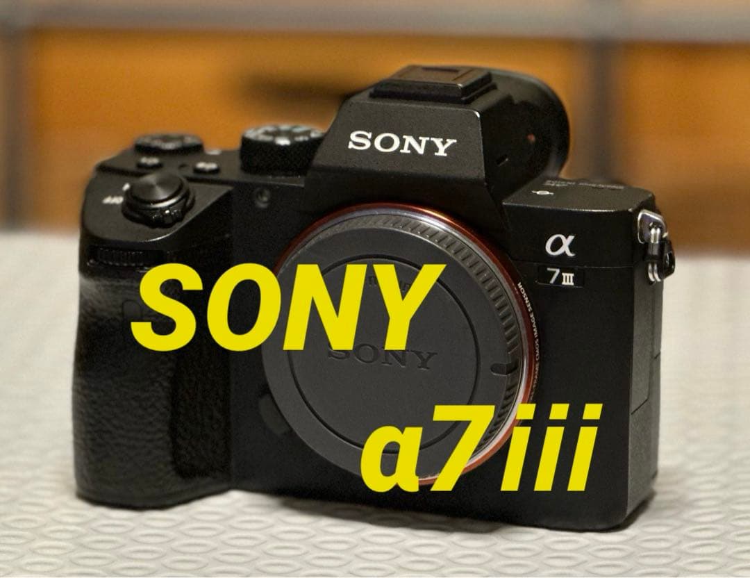 【サト】SONY α7 III ミラーレス一眼 本体 バッテリー付き