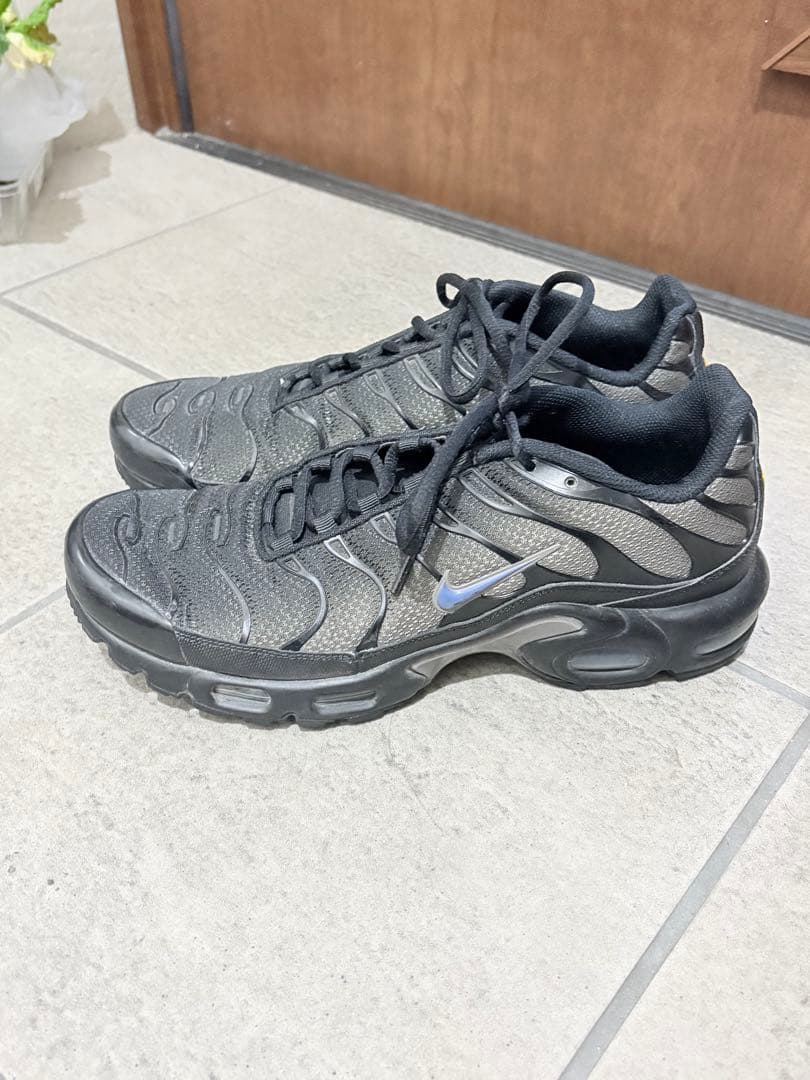 靴 Nike Air Max Plus Black/Dark Smoke Grey