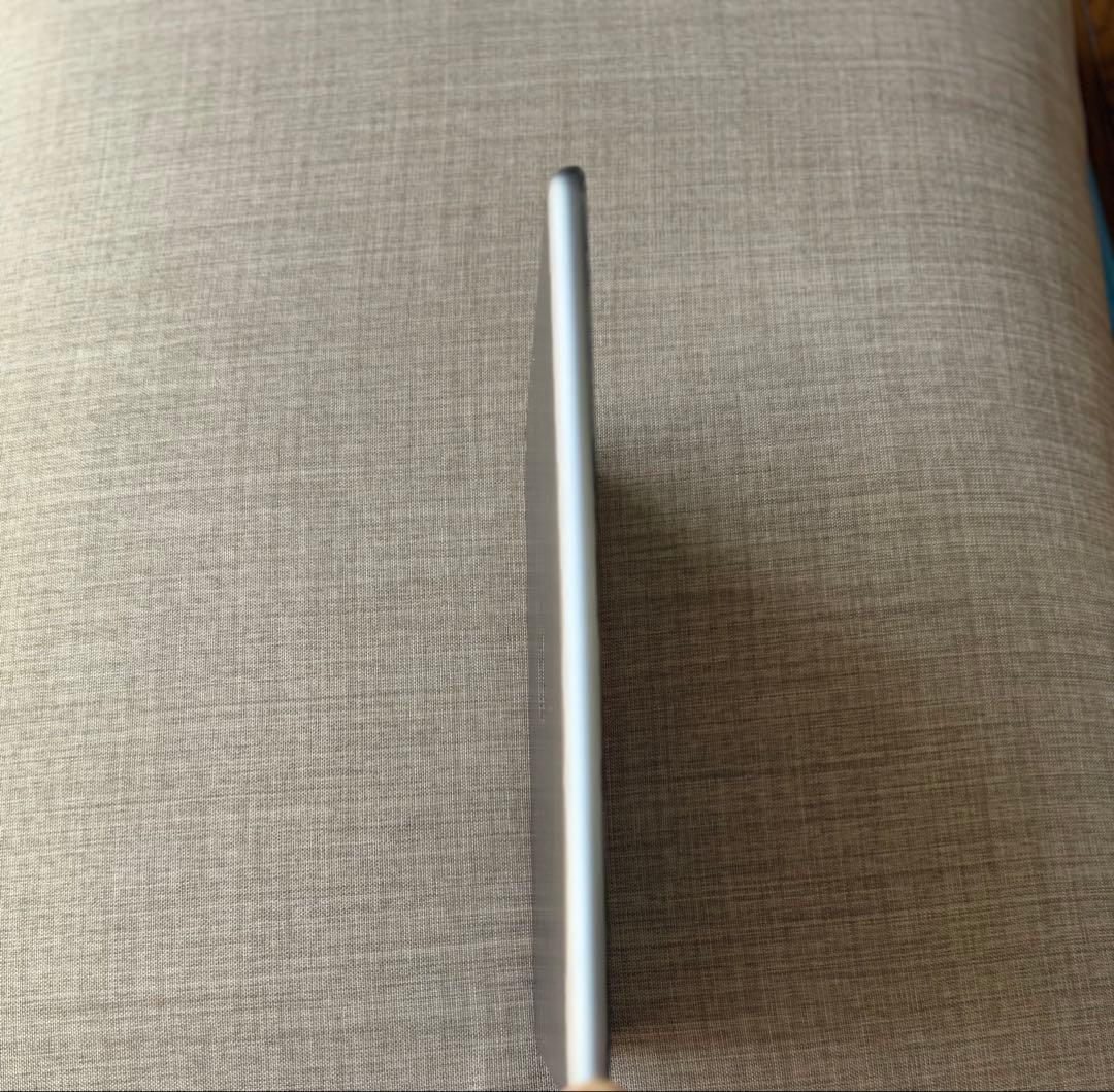 Apple iPad miniシルバー 本体