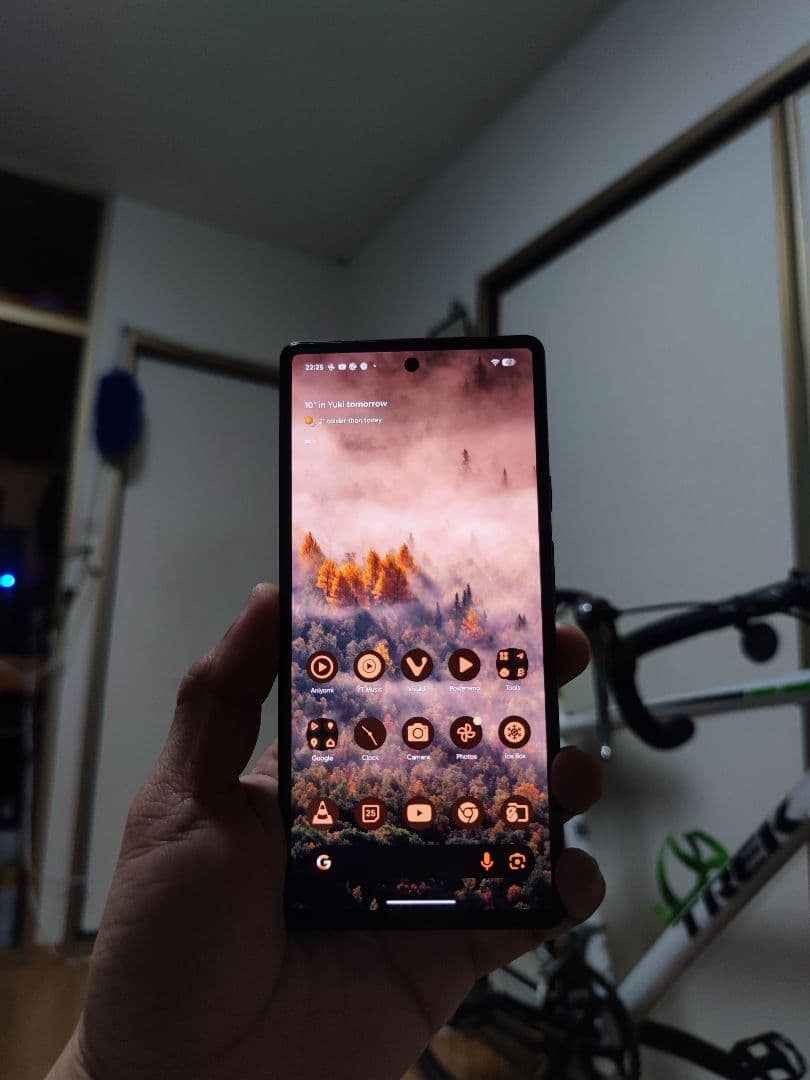 Google Pixel 6 本体