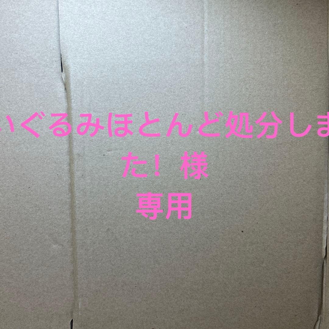 専用　新品Anker アンカー soundcore Sport X20 イヤホン