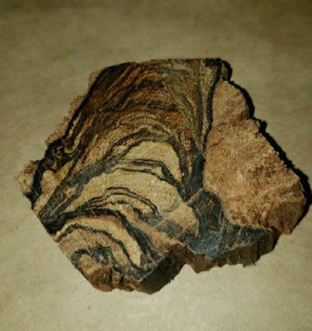 65 沈香、伽羅、六国五味、聞香、香木「天然カンボジア産黄熟香39.5ｇ」