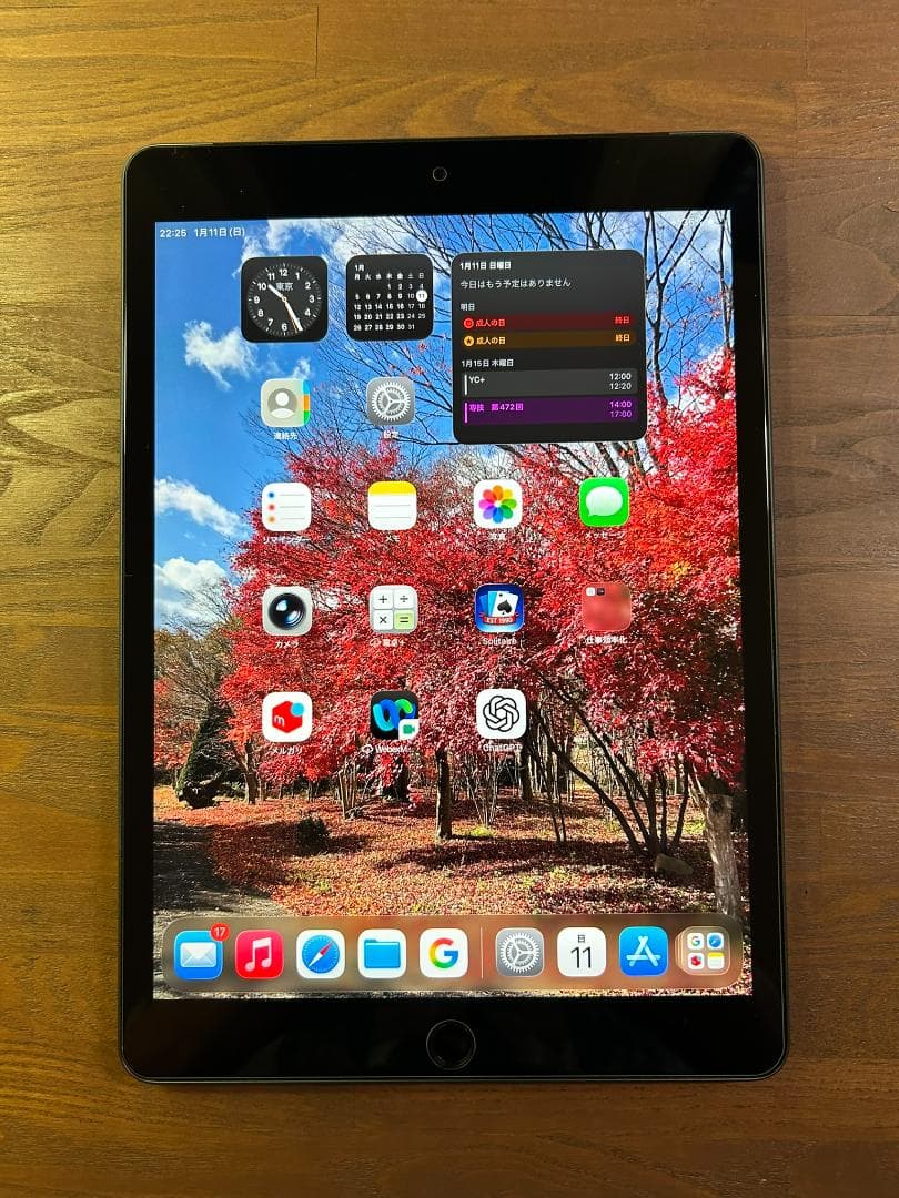 T*n様 iPad (第９世代) 64GB SIMフリー 電池89.3% スペー