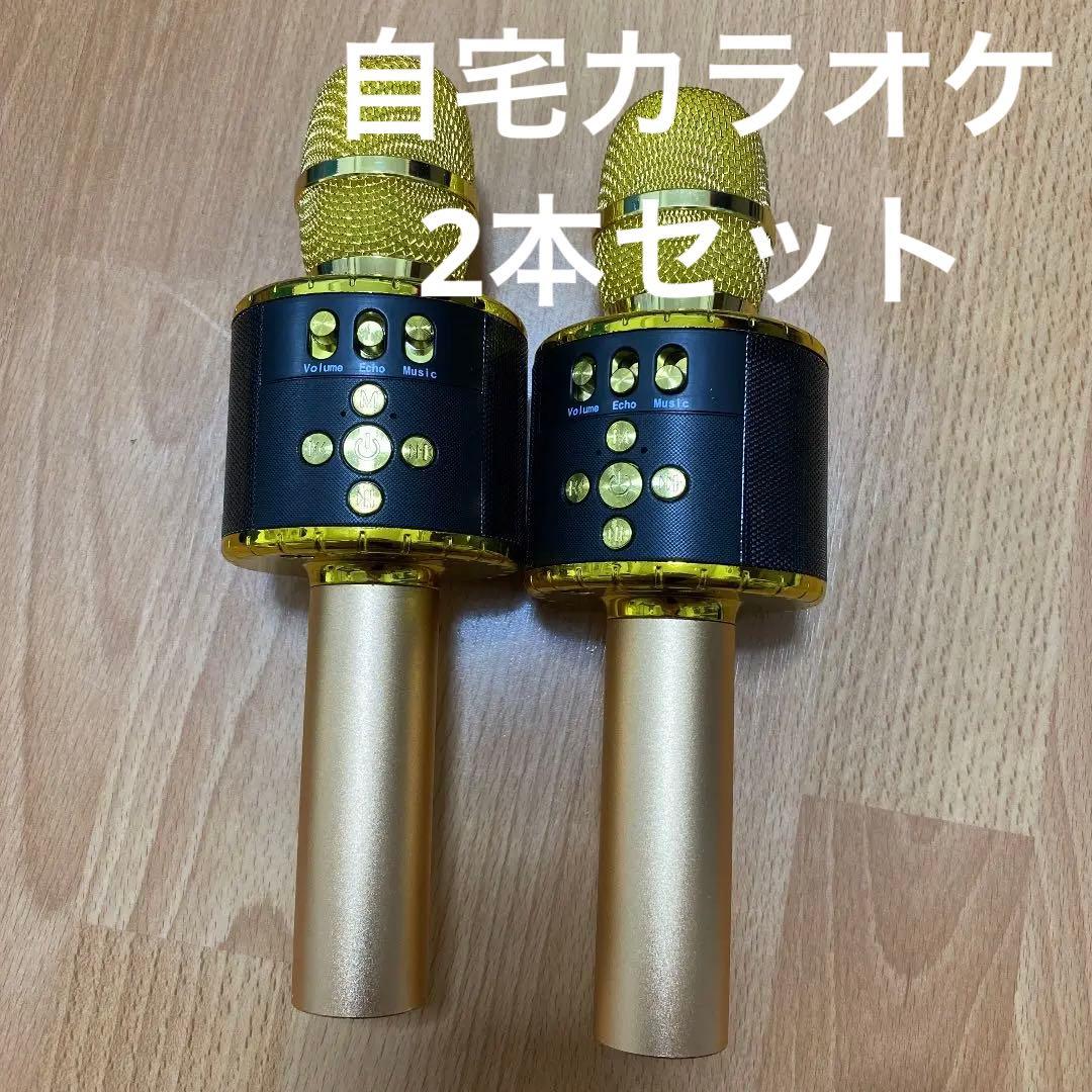 【未使用】マイク カラオケ 13900円相当 2本セット セット販売