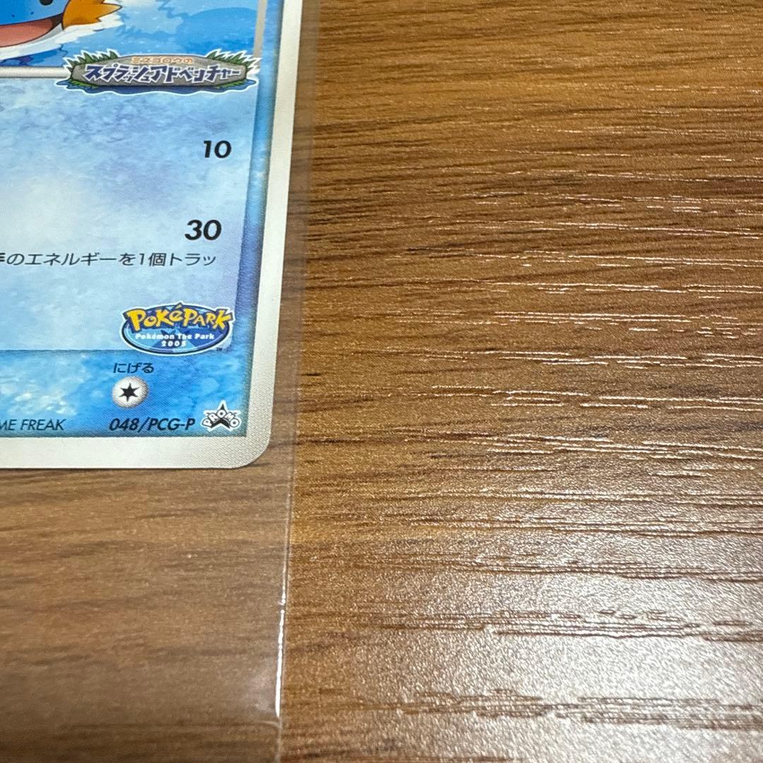 ポケモンカード ポケパークのミズゴロウ スプラッシュアドベンチャー 未開封