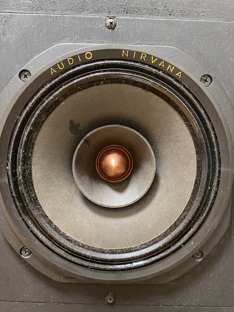 Audio Nirvana super 8 フルレンジスピーカー 2個目