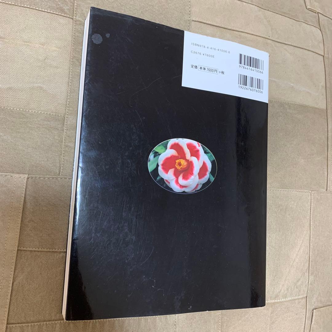 最新日本ツバキ図鑑