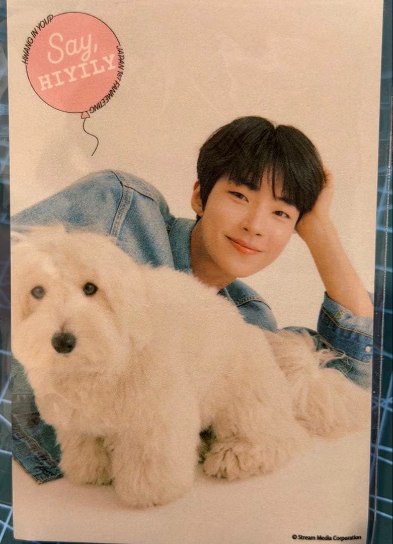 ファンイニョプ Japan 1st FANMEETING ステッカー