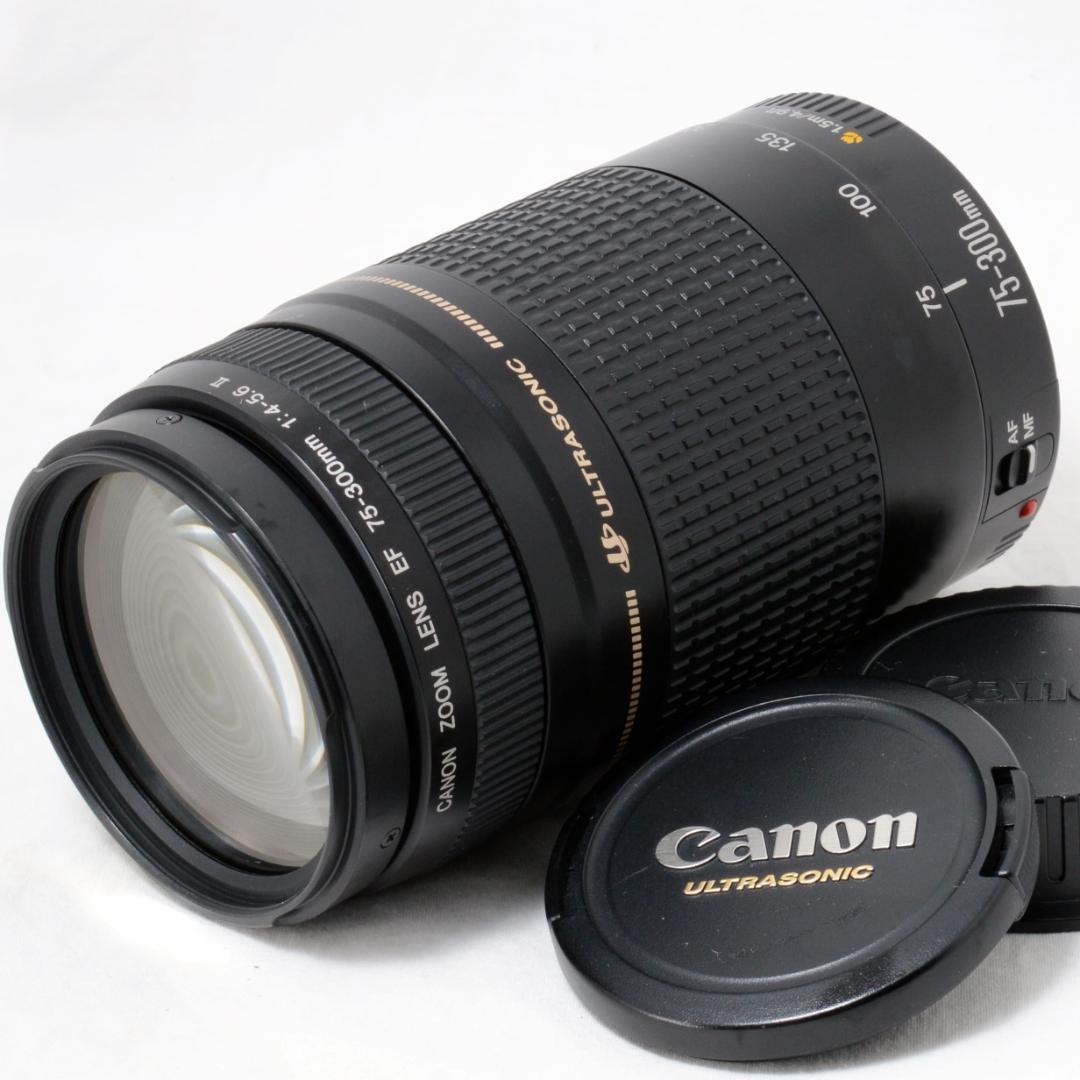 ⭐️実用品⭐️Canon キャノン EF 75-300mm F4-5.6ⅡUSM