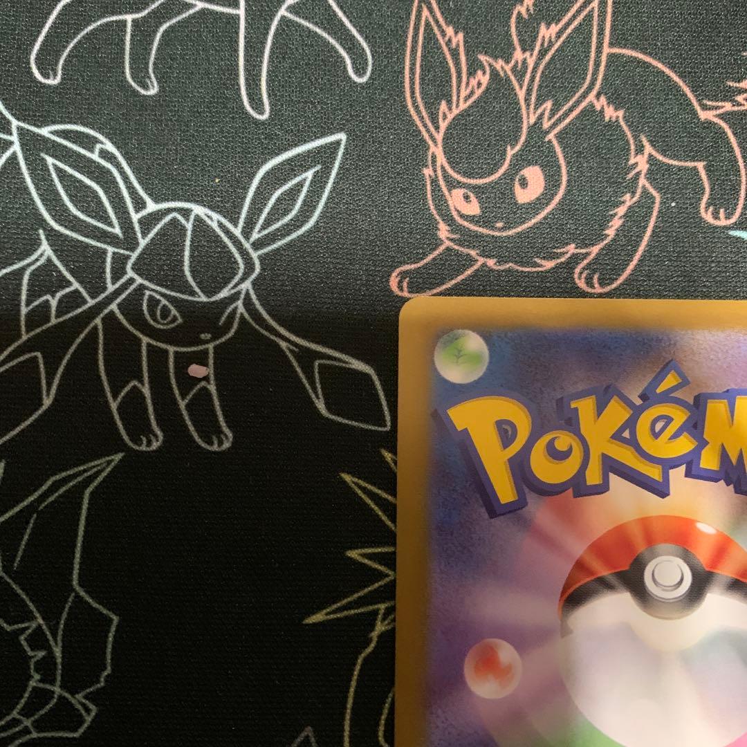 メガフシギバナex SARセット