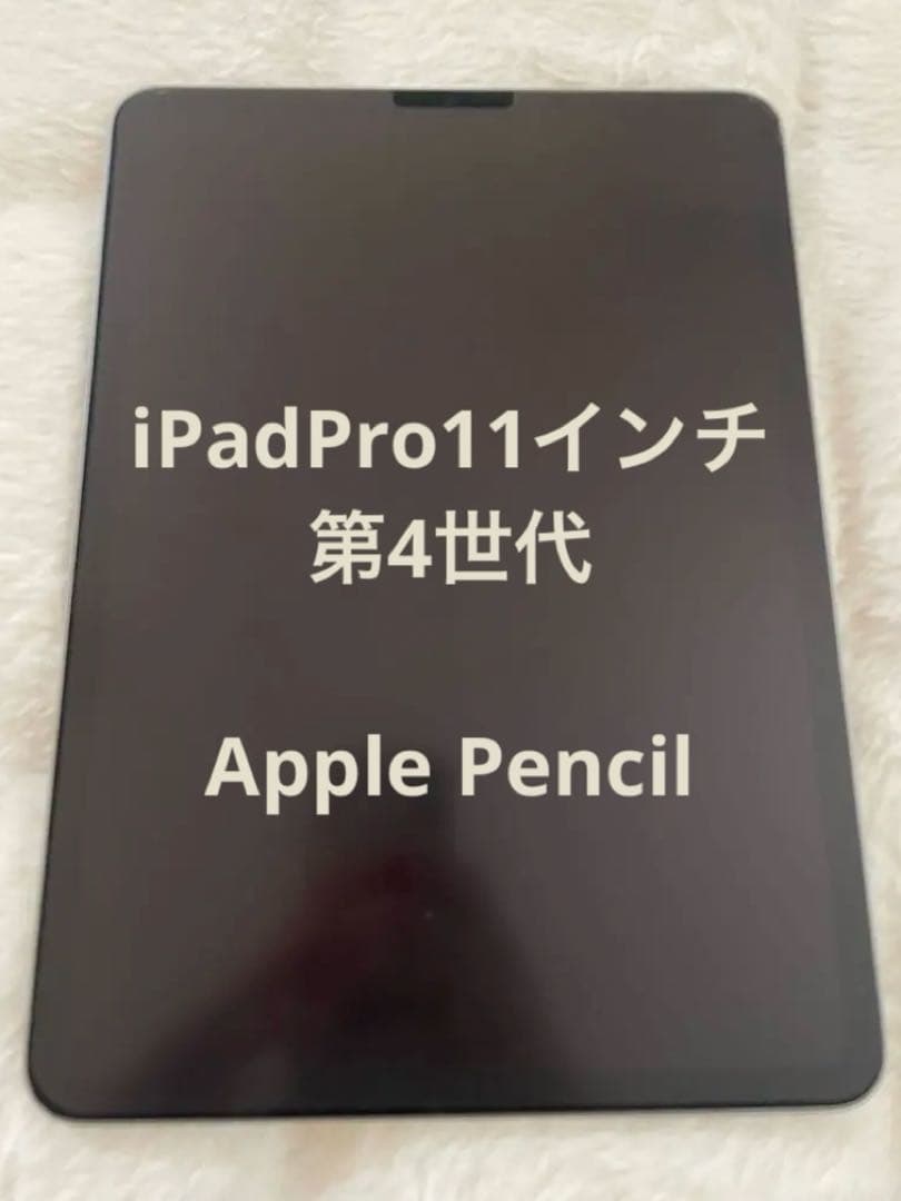 iPad Pro 11インチ第4世代256GB 第2世代Apple Pencil