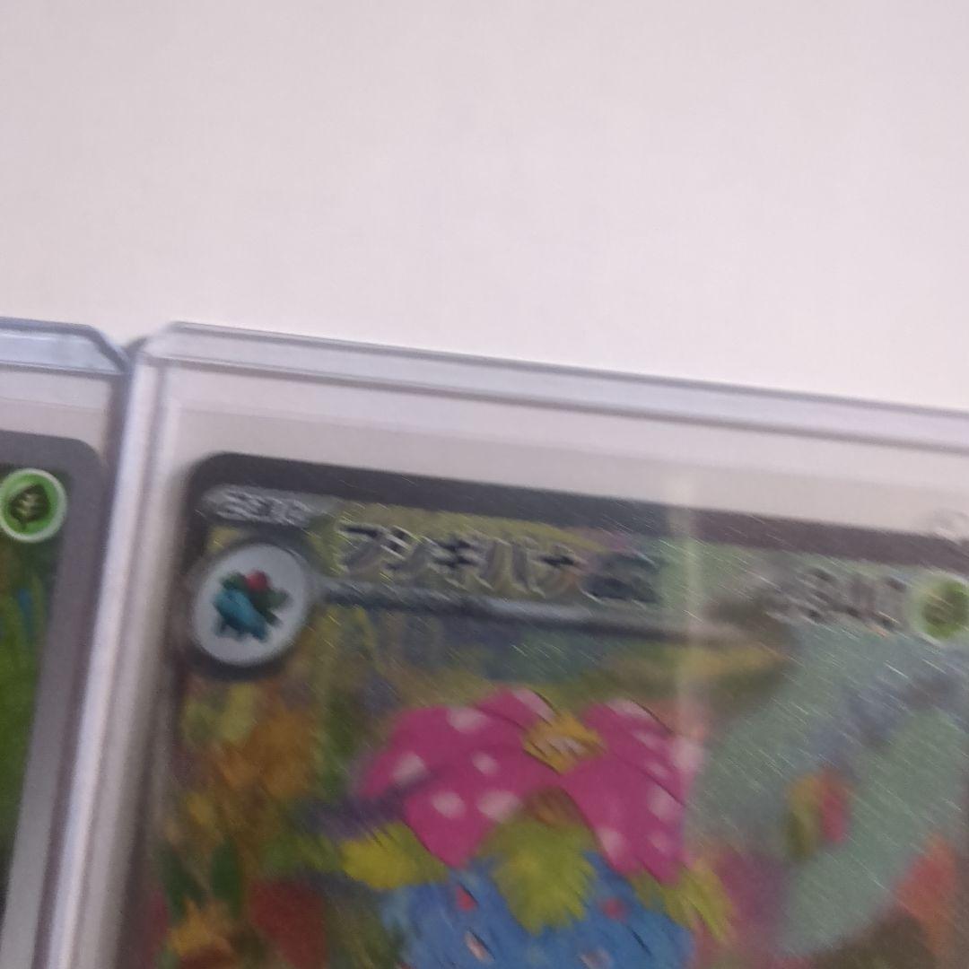 フシギソウ マスターボールミラー AR フシギバナex SAR 3枚