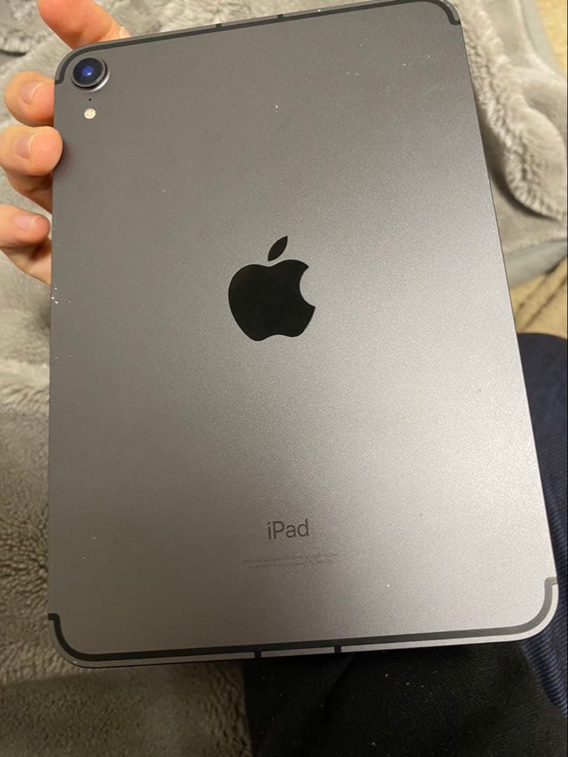 iPad mini6 wifi cellular 256gb 本体 ジャンク扱い