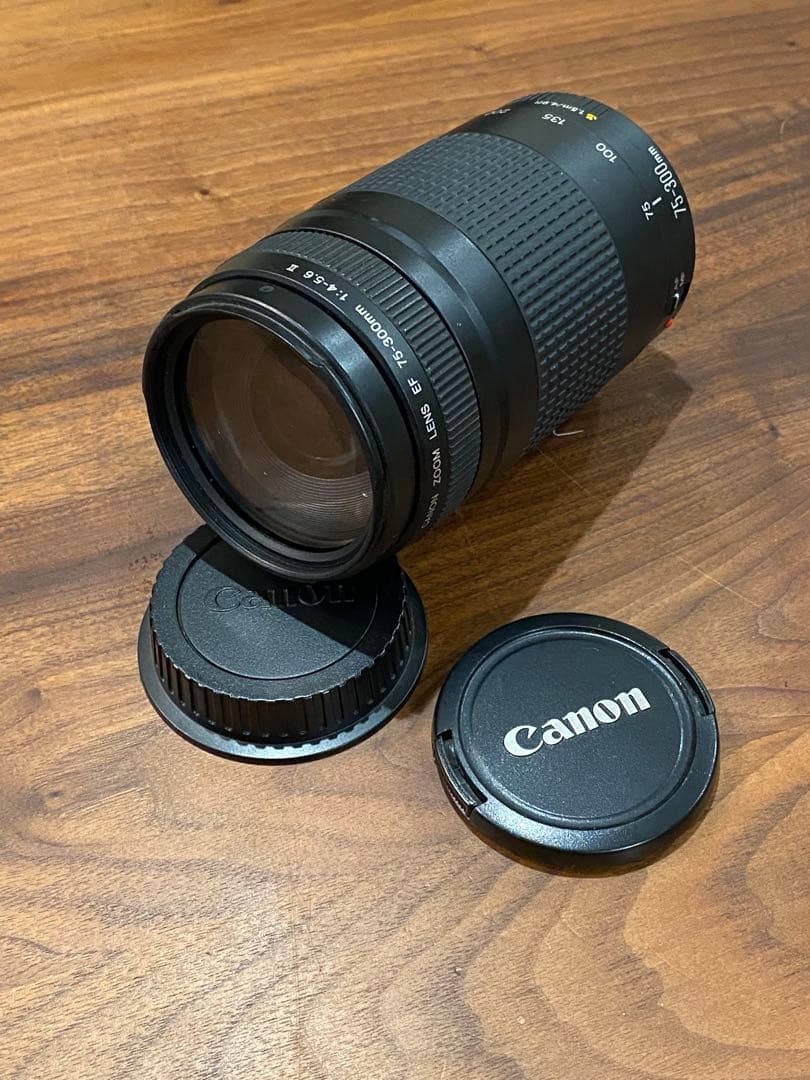 Canon ズームレンズ EFマウント EF 75-300㍉　1:4-5.6Ⅱ2
