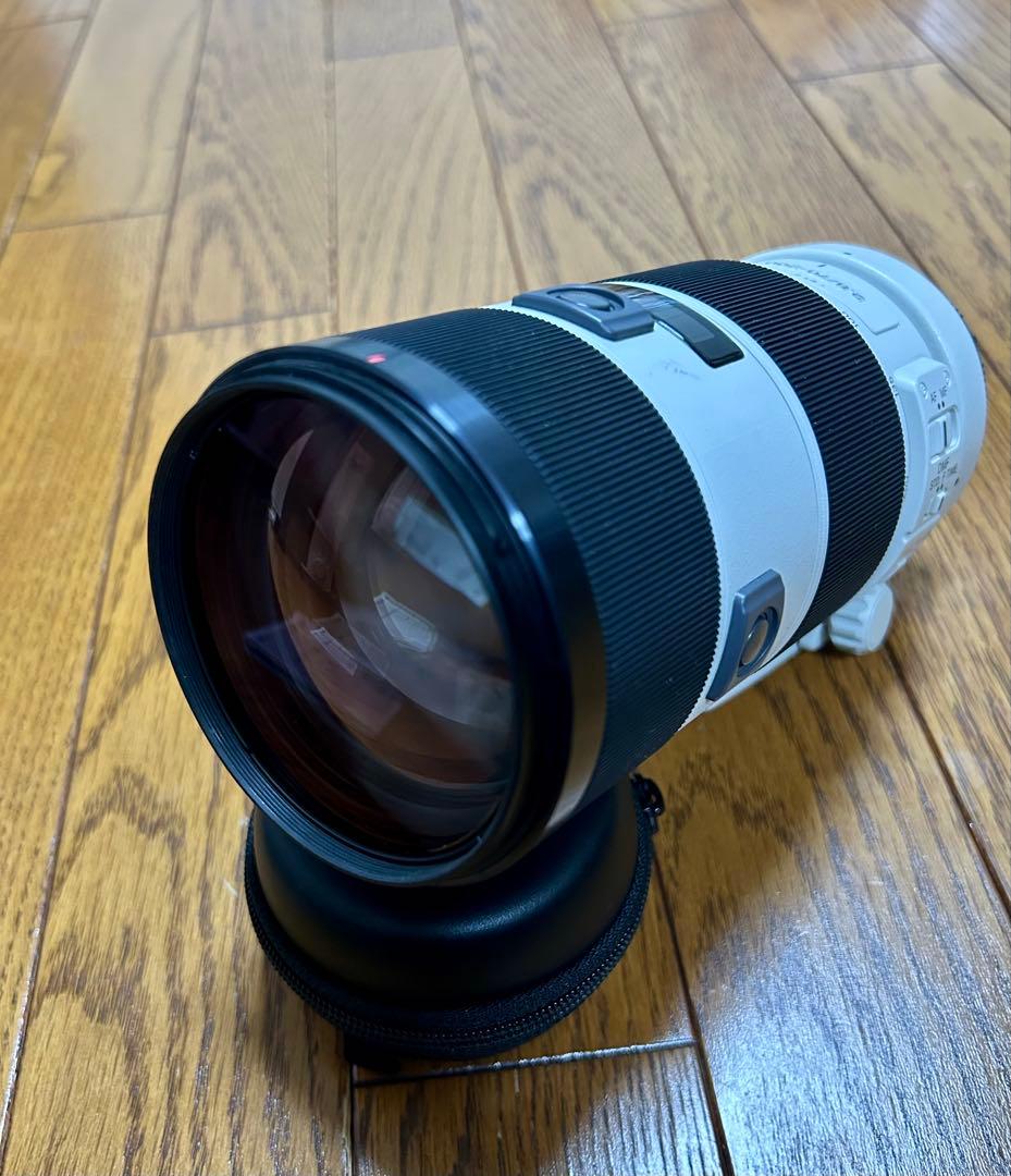 レンズ(ズーム) SONY 70-200mm F2.8G /SAL70200G