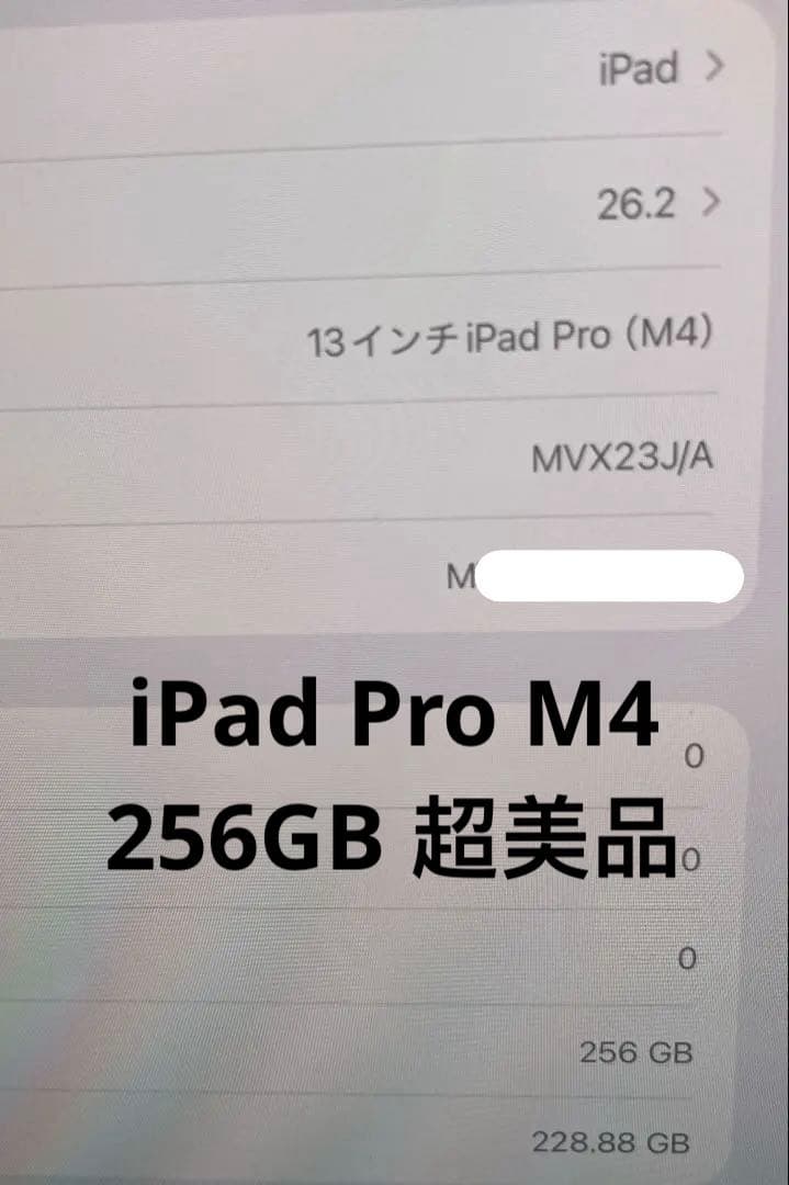 iPad Pro 12.9インチ M4 256GB Wi-Fiモデル 美品