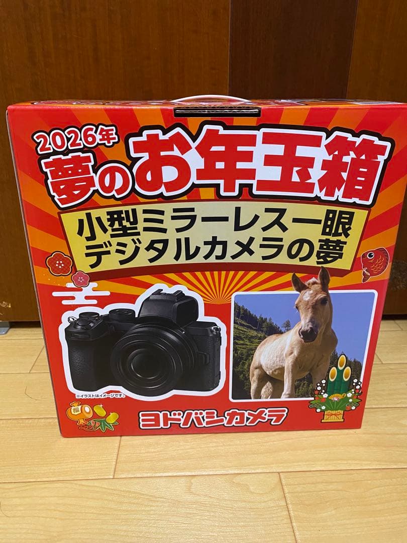 ヨドバシカメラ 夢のお年玉箱　2026 小型ミラーレス一眼デジタルカメラの夢