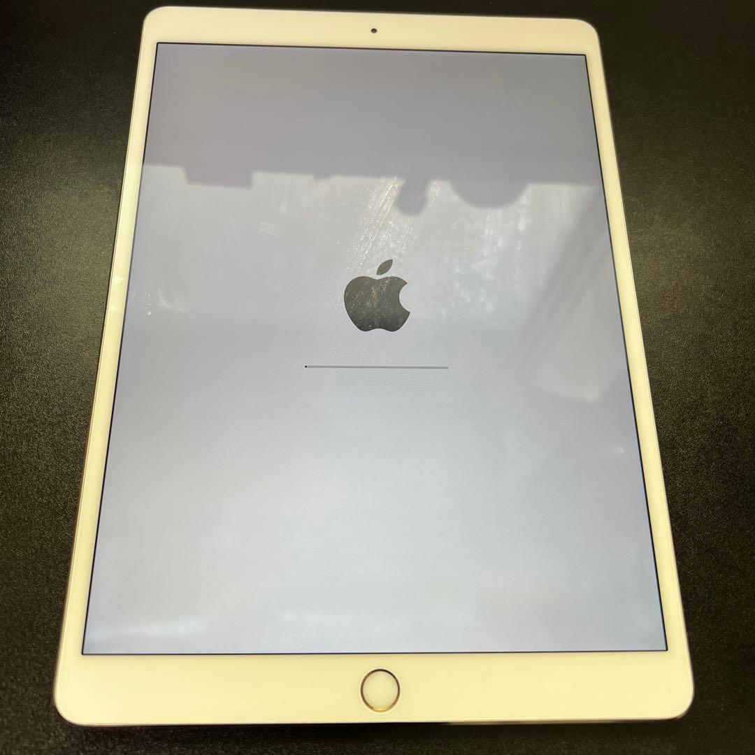 iPad本体 iPad Pro 256GB MPHJ2J/A Wi-Fi+Cellular