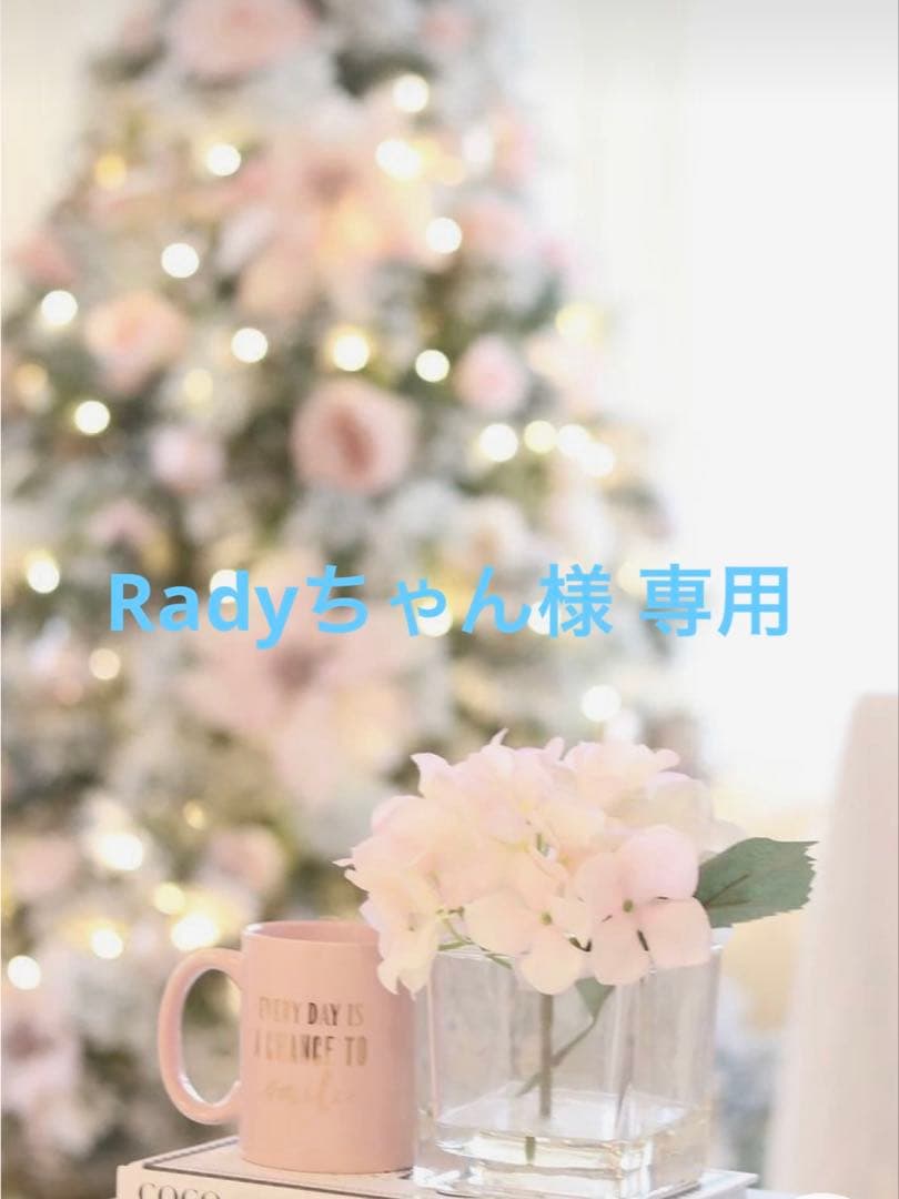 Radyちゃん サルート