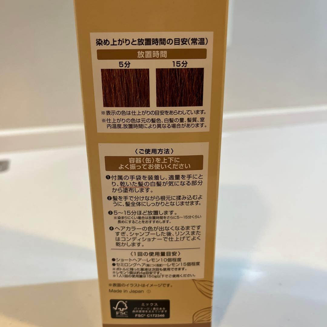 ヘアボーテ エクラ ボタニカルエアカラーフォームupライトブラウン150g×2本