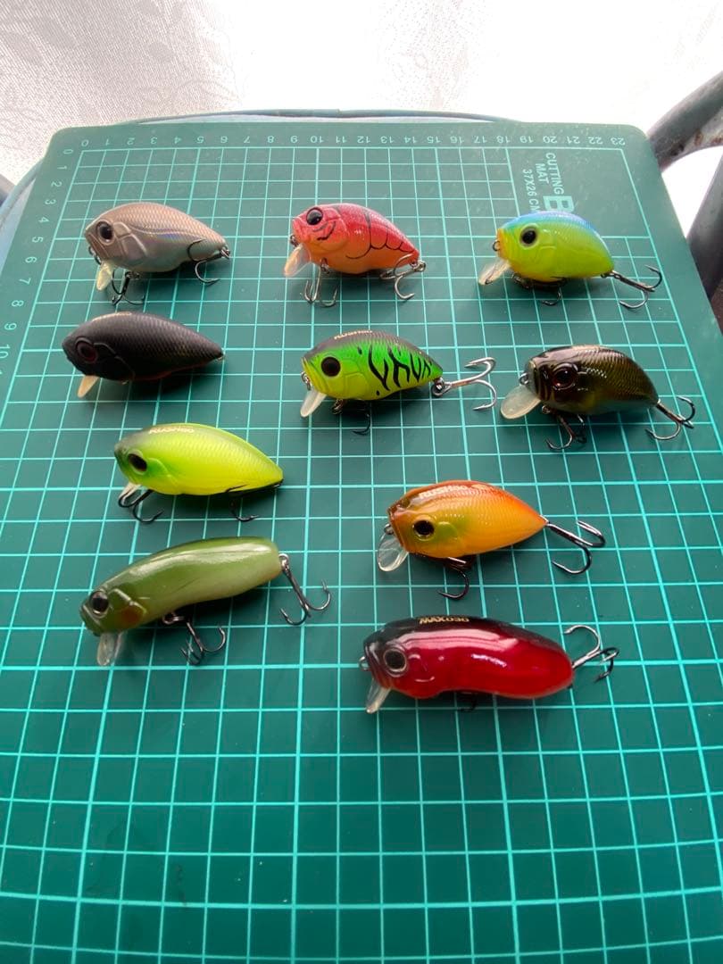 プロズファクトリー ラッシュ60 10個セット