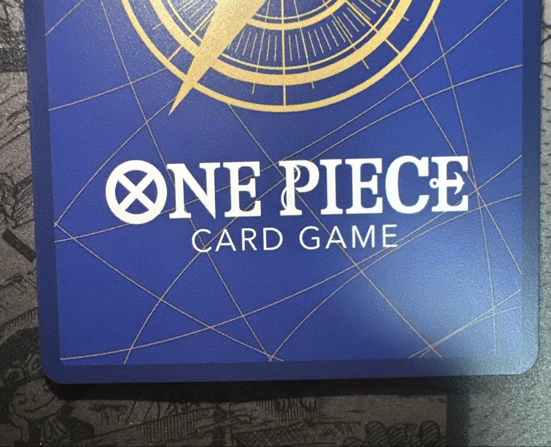 ルフィ　シクパラ　シークレットパラレル　受け継がれる意志　原作絵