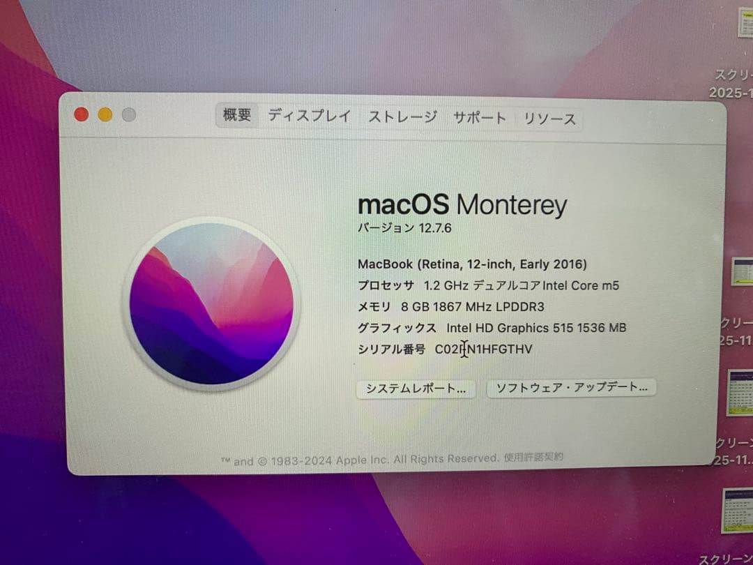 MacBook Retina 12-inch Early 2016 バッテリー0