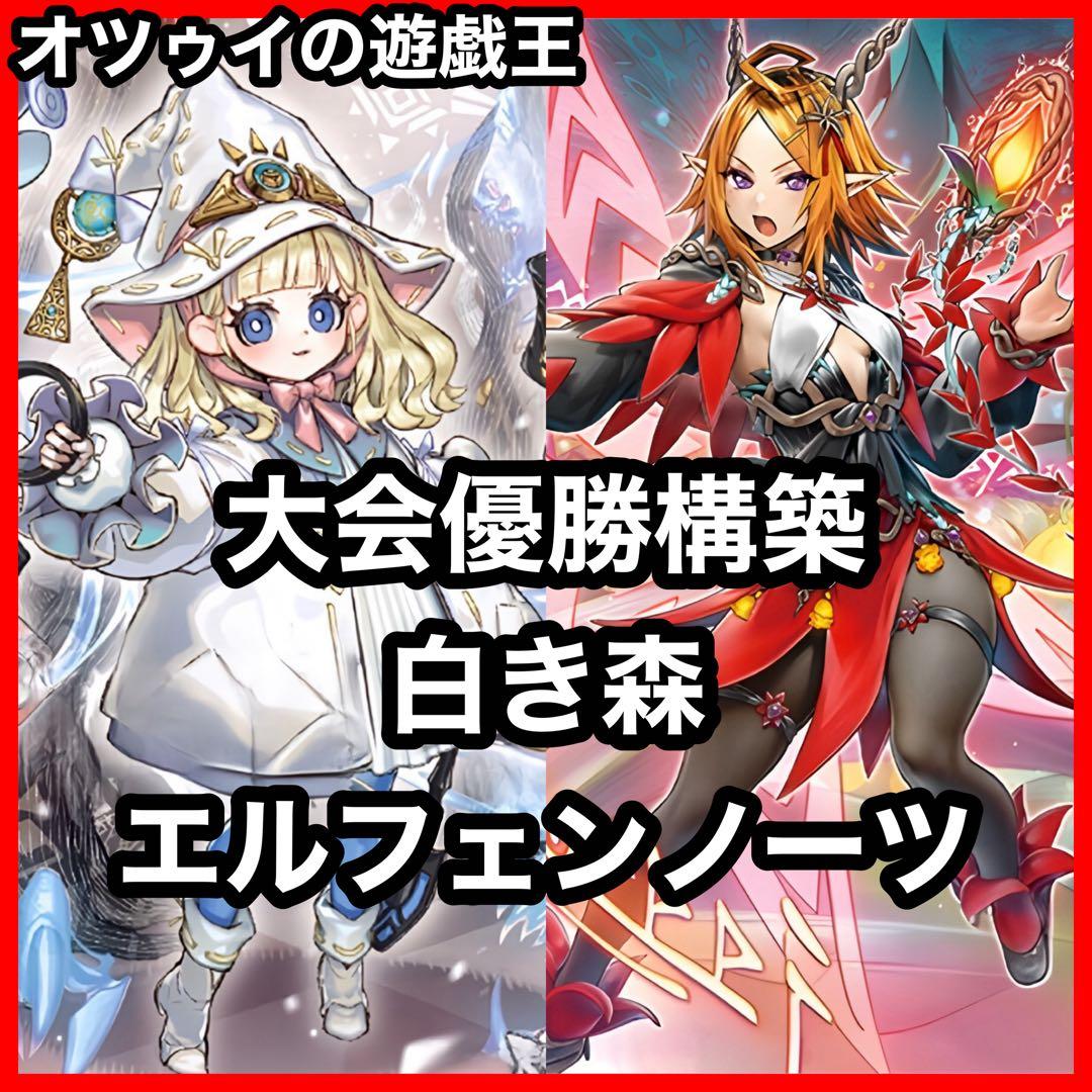 優勝構築 白き森エルフェンノーツデッキ リゼット ルキナ ストリチア