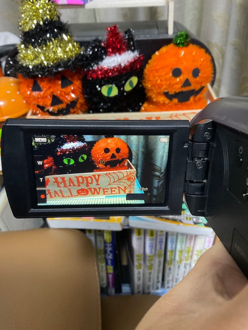 SONY HDカメラ HDR-CX670とバッテリー2個のセット