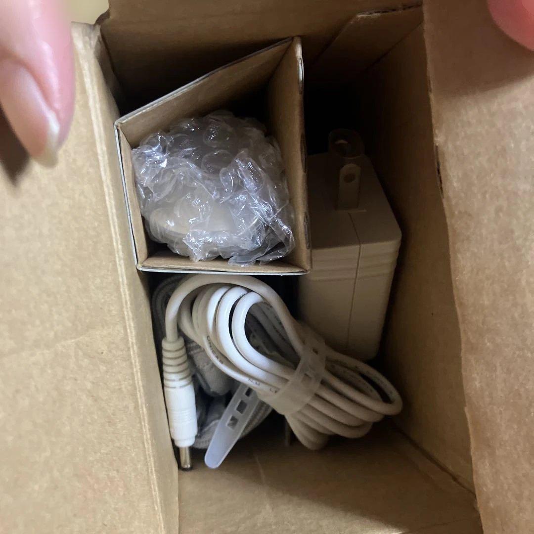 エステシャンヌ　イオンスチーマー　クールパター付　ナノケアプラチナ