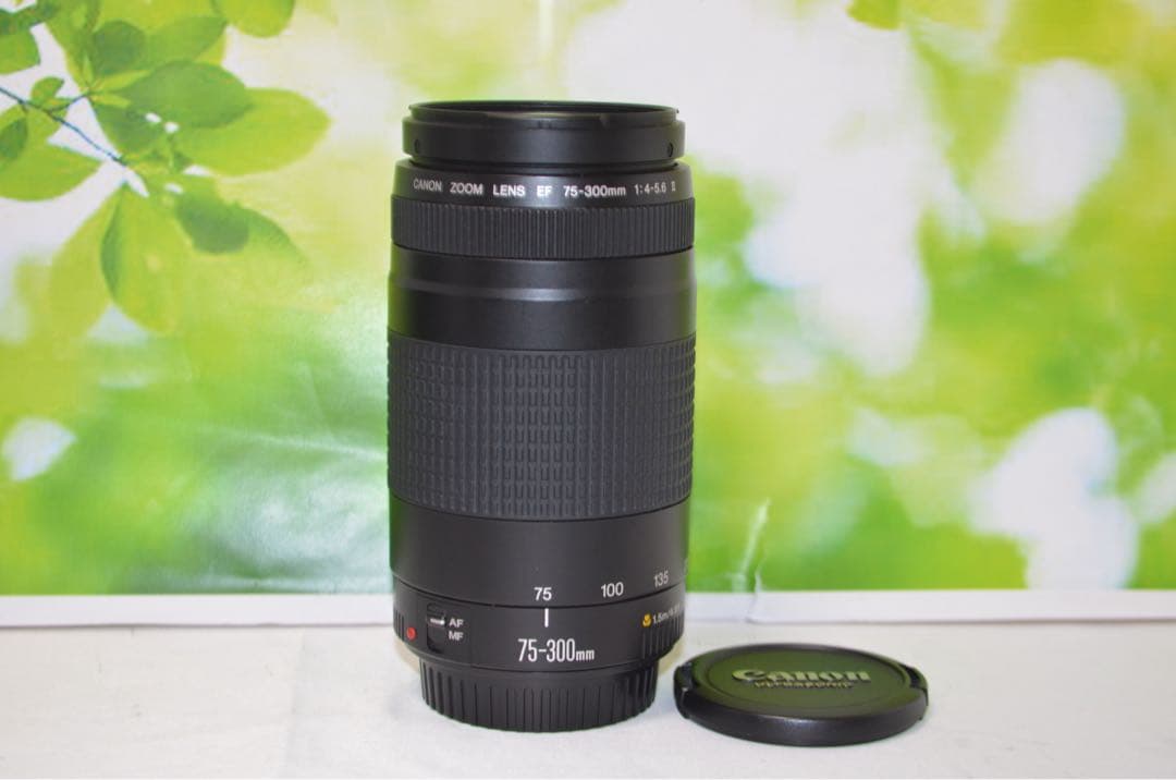 300mm超望遠レンズ★CANON EF 75-300mm