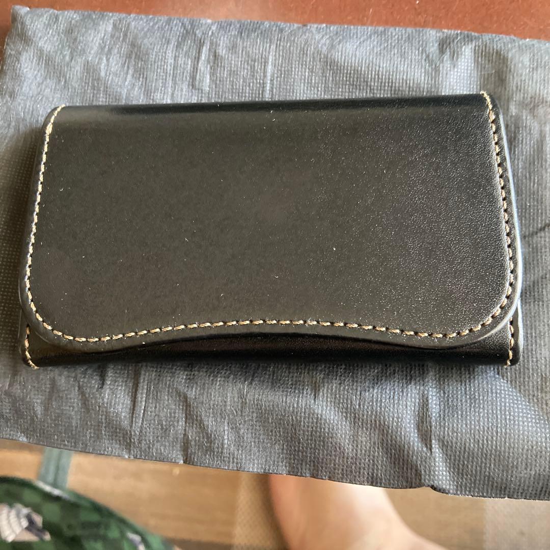 ワイルドスワンズ　サージ