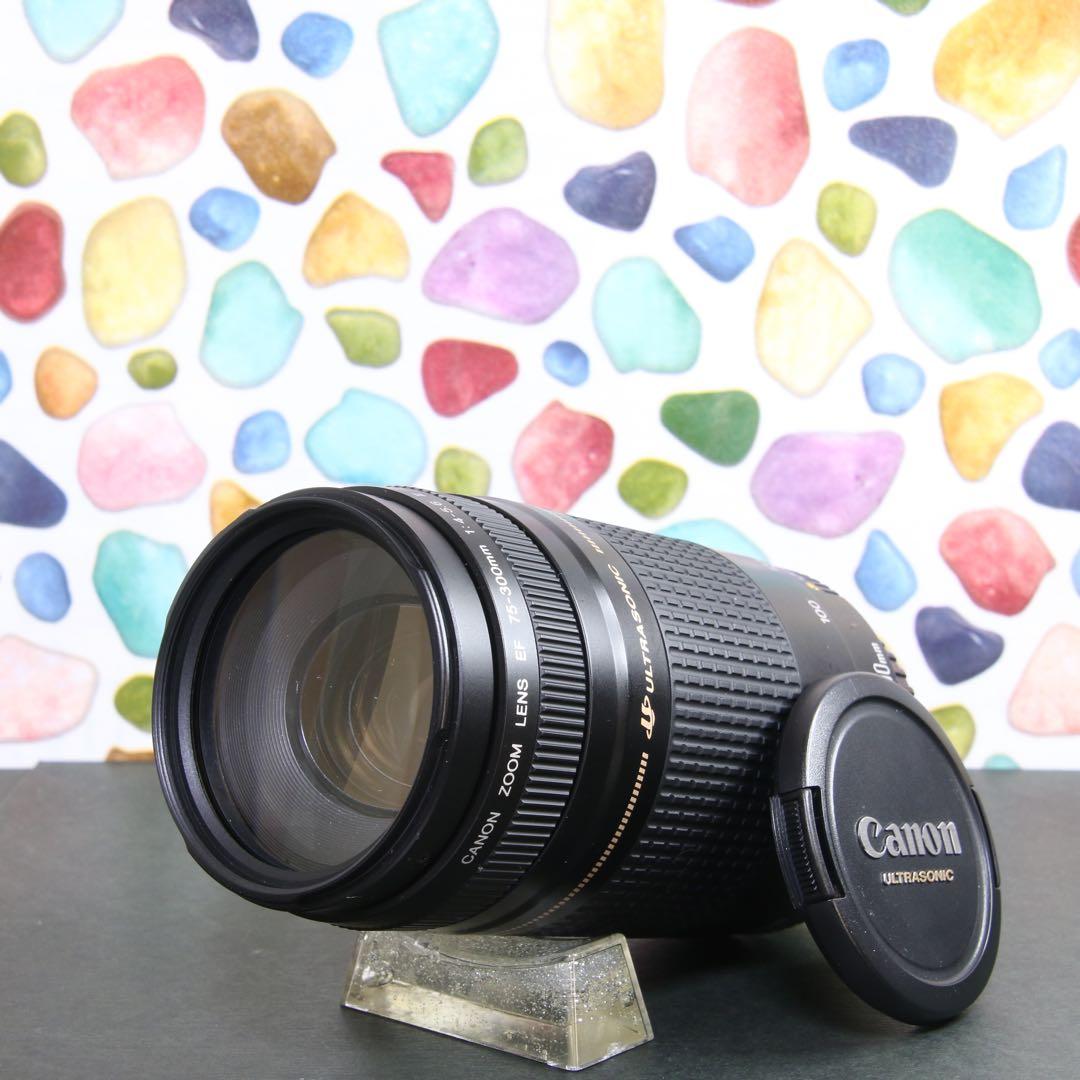 ♥︎◇やっぱり純正レンズ♪ ◇Canon 75-300mm USM ◇望遠♪