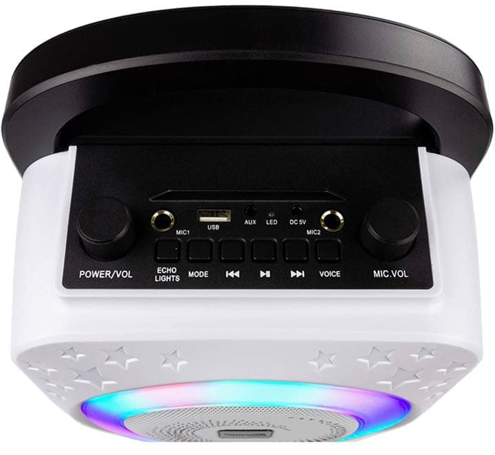 Bluetooth カラオケマイク 手持ちマイク2本 内蔵バッテリー Party