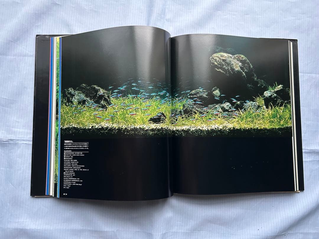 趣味・スポーツ・実用 NATURE AQUARIUM WORLD