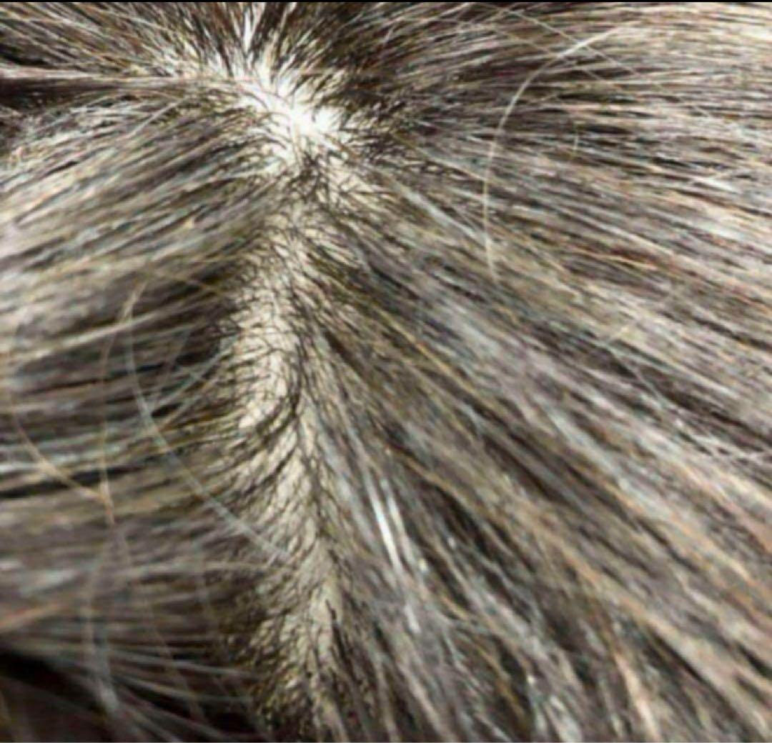 HairDre ヘアドレ　L② 人毛100%ウィッグ　ダークブラウン黒茶