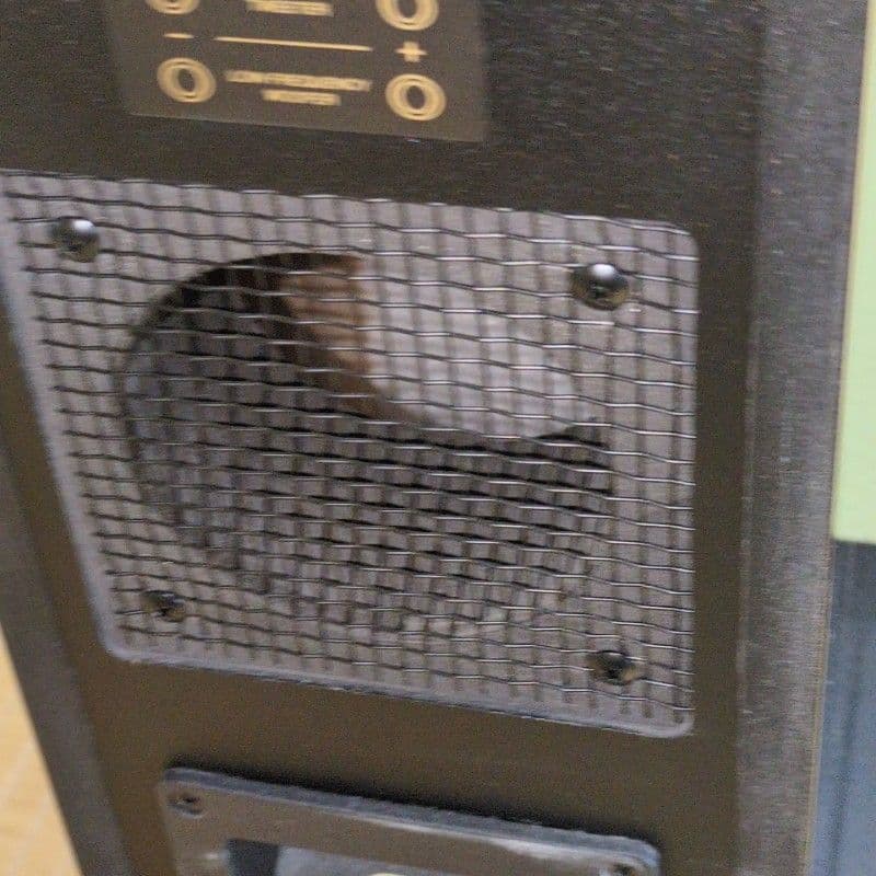 D-309E　スピーカー　トールボーイ　ピアノブラック　ONKYO　オンキョー