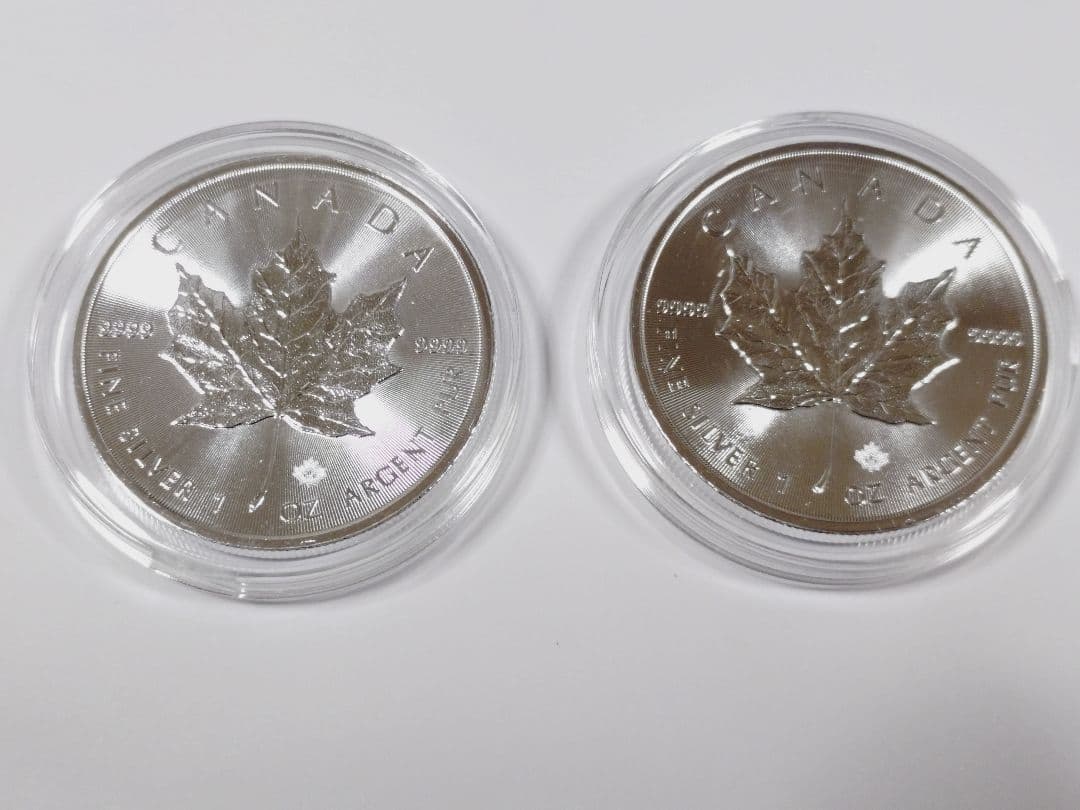 2019カナダメイプルリーフ銀貨1オンス 2枚セット　ケース付き