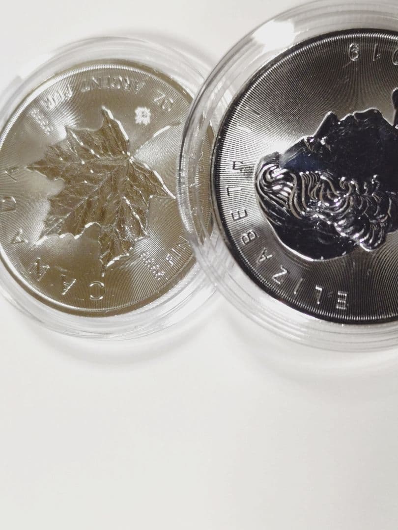 2019カナダメイプルリーフ銀貨1オンス 2枚セット　ケース付き