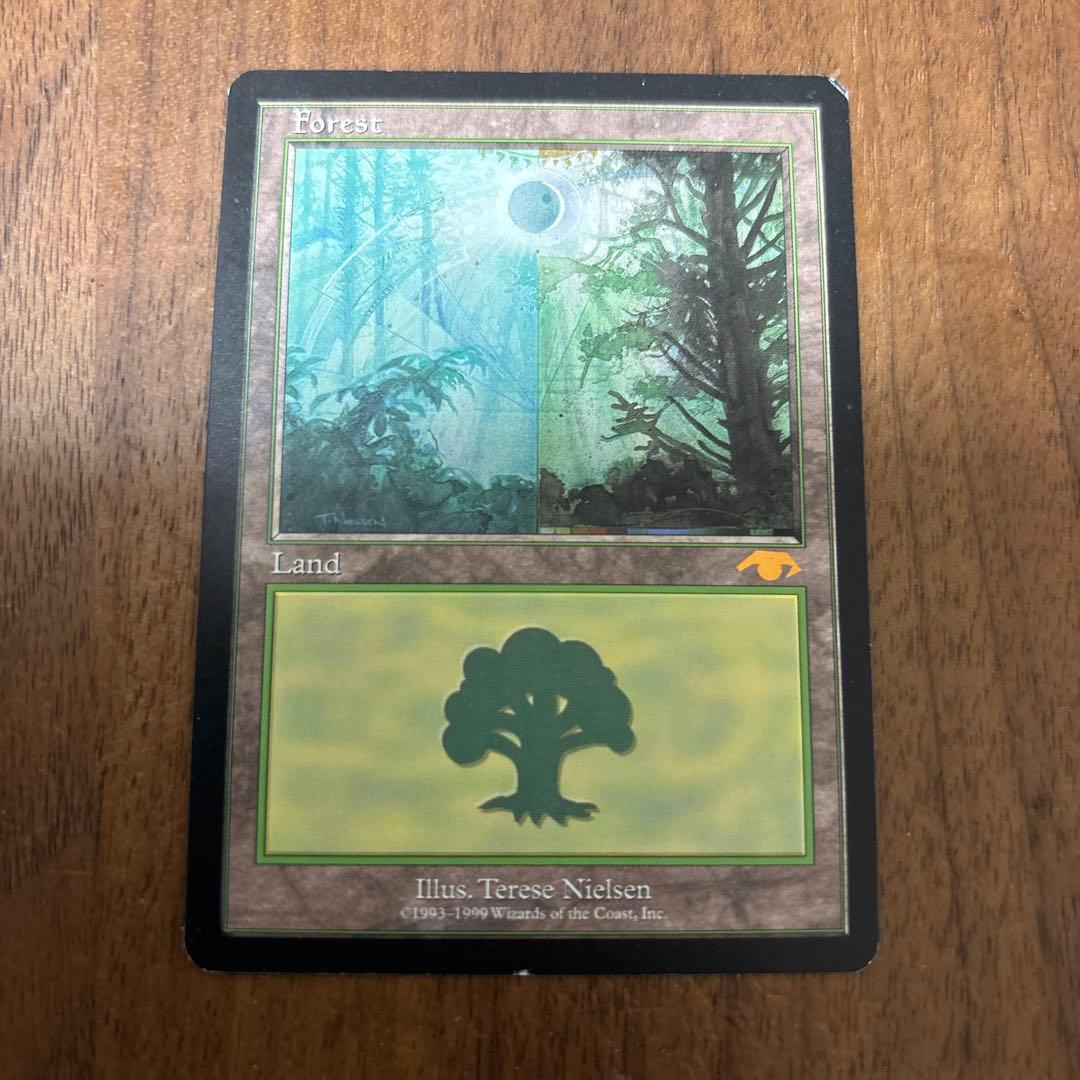 Guruランド グルランド 森 forest guru land