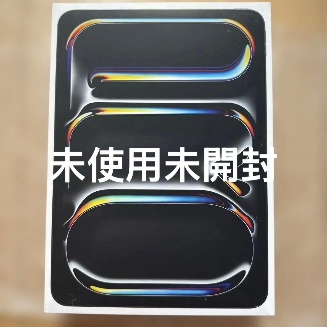 【美品】Apple iPad Pro （M5）11インチ256GB Wi-Fi