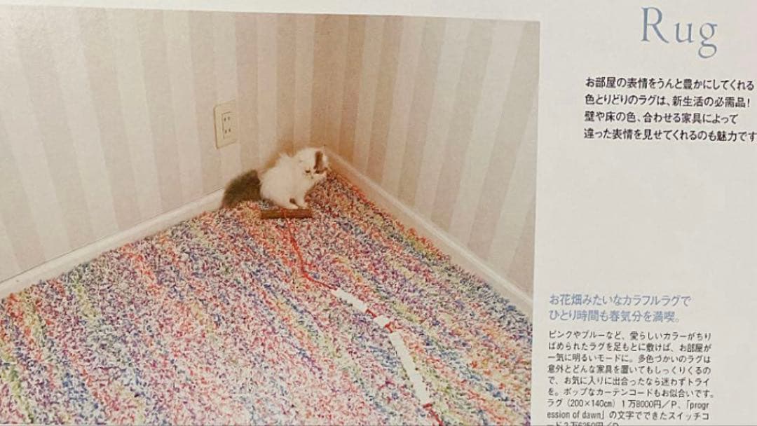 美品　Francfranc ラグ