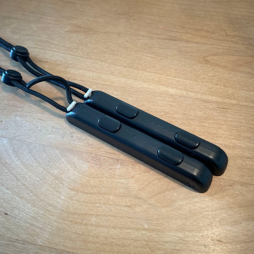 Nintendo Switch あつまれ どうぶつの森デザイン 本体➕おまけ