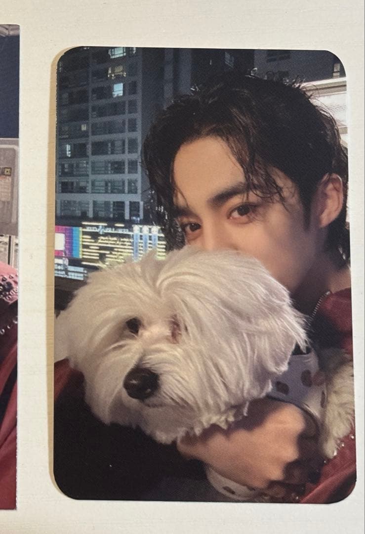 SEVENTEEN エスクプス FML yes24 トレカ