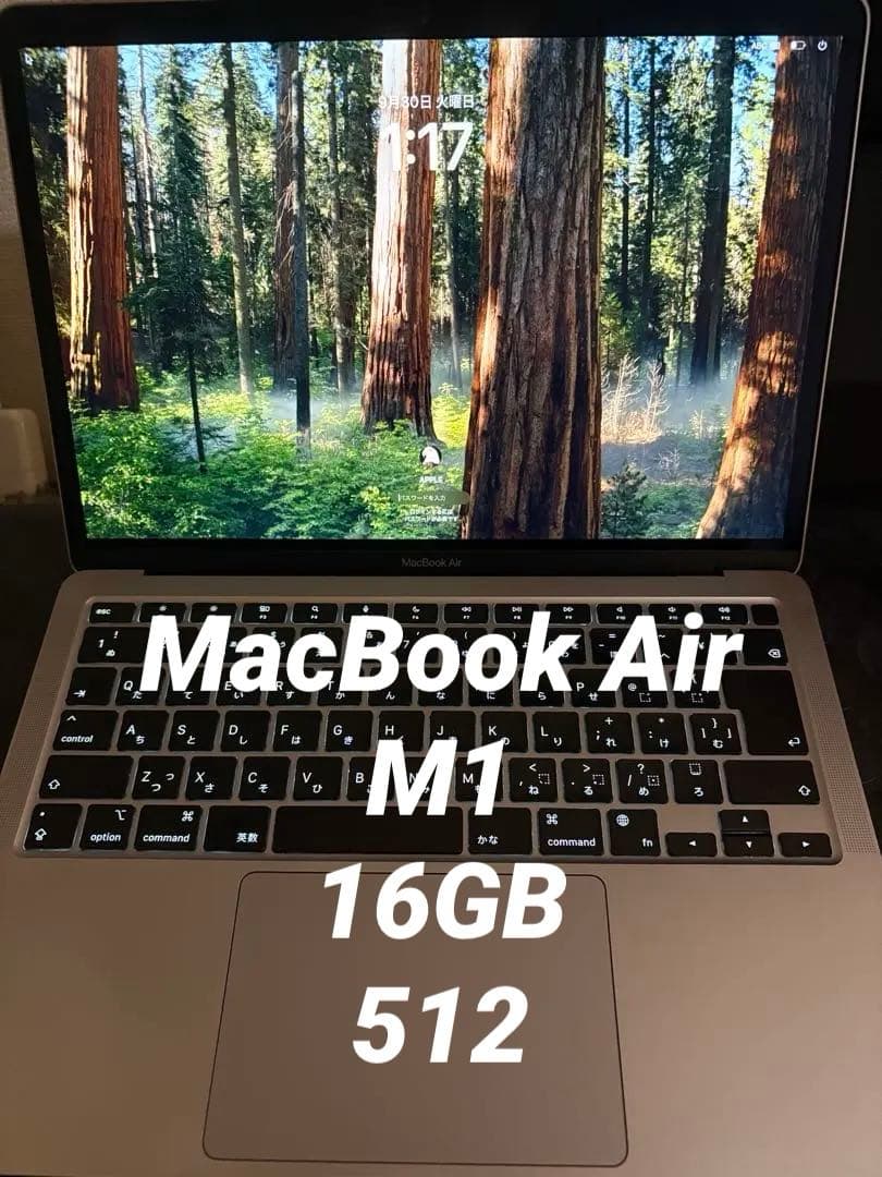 MacBook本体 Apple MacBook Air (M1, 2020) 16GB SSD512