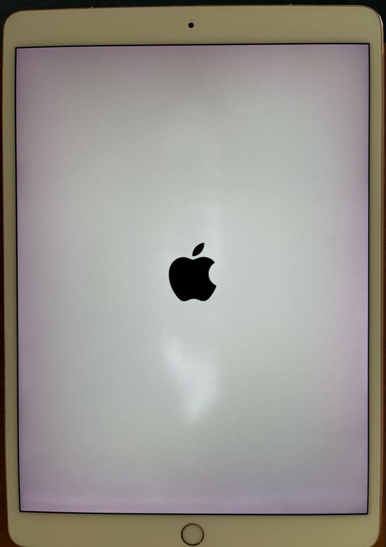 iPad Pro 10.5 256G セルラー　Apple Pencil付き