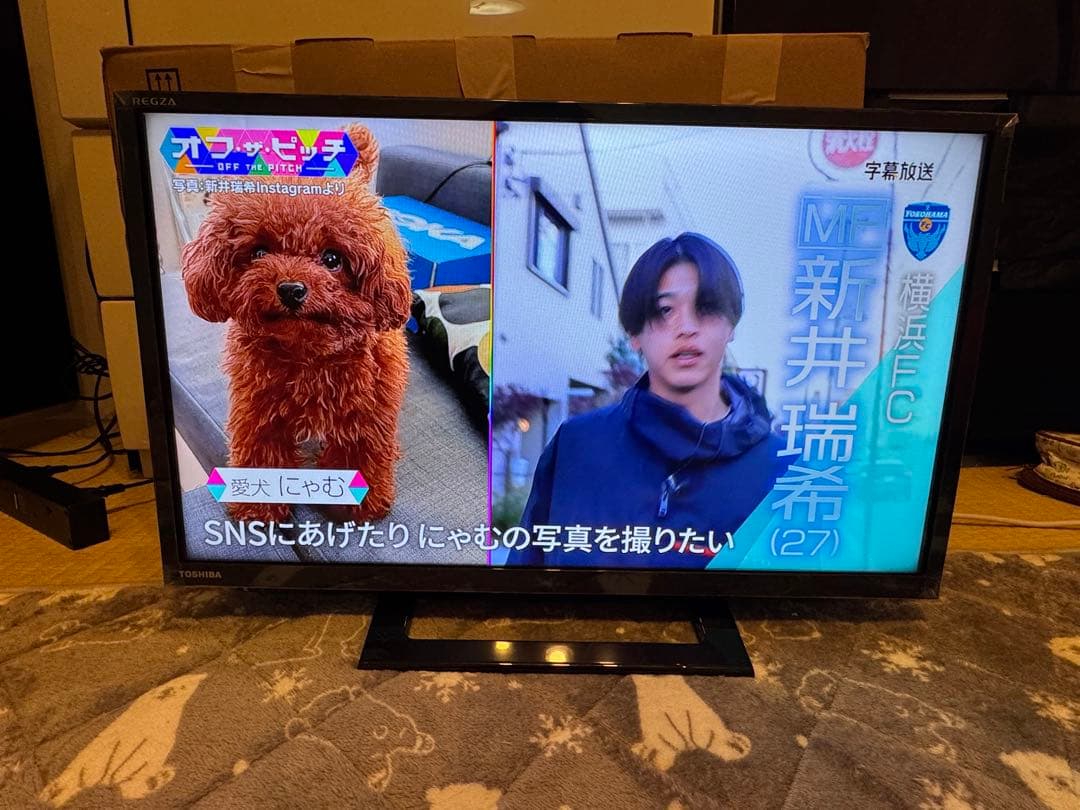 東芝 REGZA 24インチ 液晶テレビ 24S24