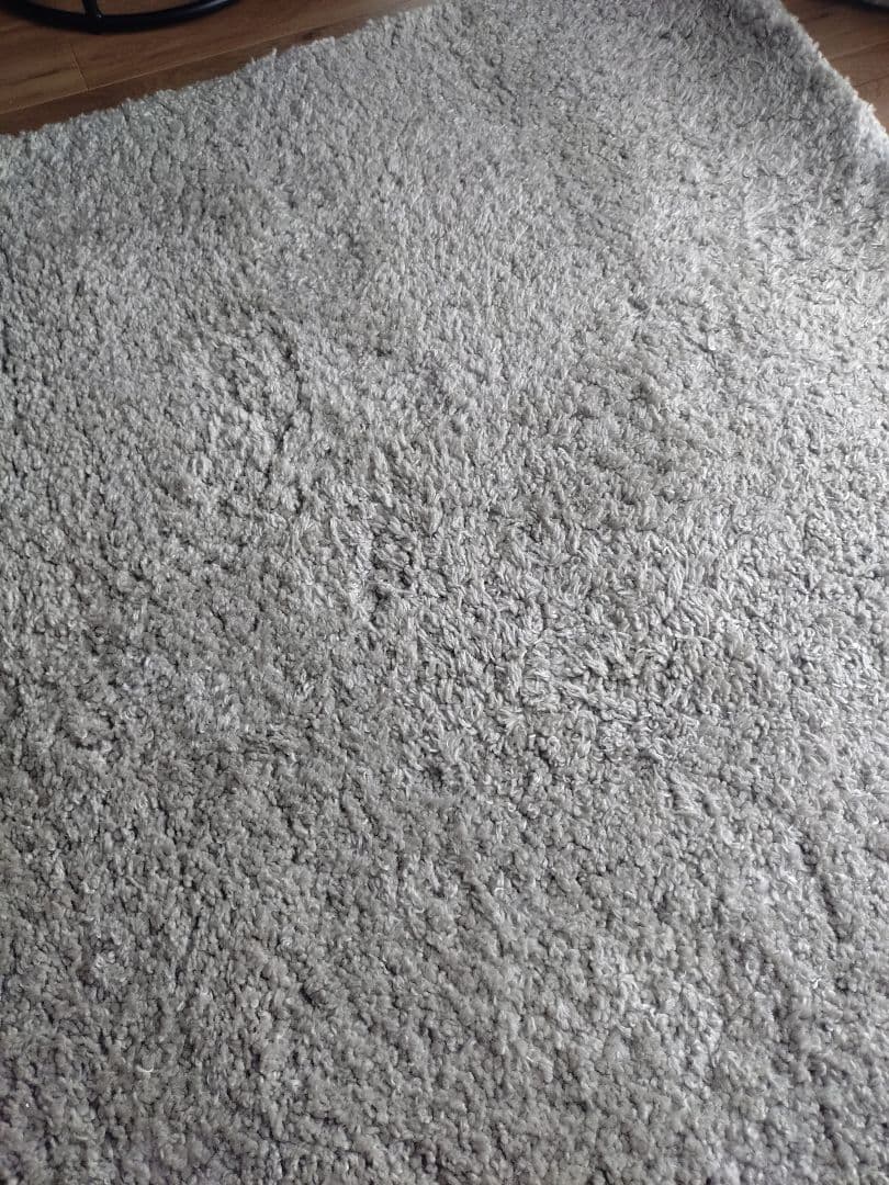 （送料込み）アクセントラグ(Nジーク MO 160X235)